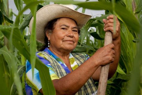 justina estepa|Rol desempeñado por la mujer campesina de las provincias del